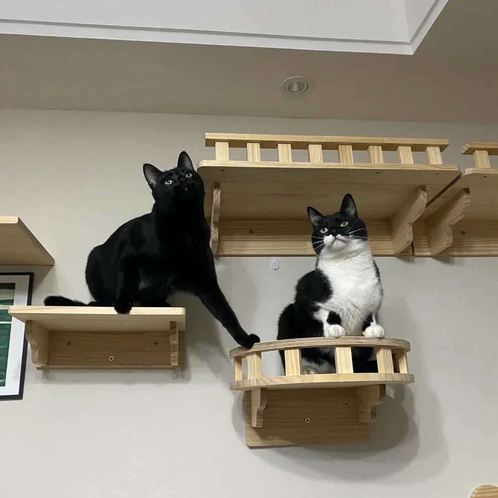 Cat Climbing Shelves Wall Mounted Cat Tree Cat Scratching Post Climbing Perches Hammock Steps for Cat Sleeping Playing and Rest