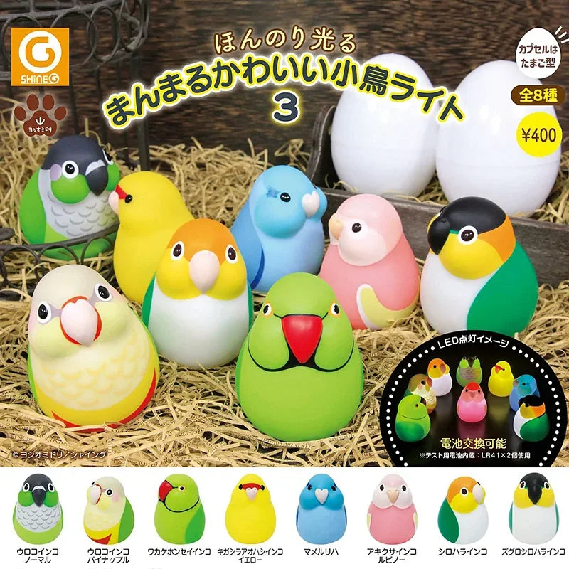 Chubby Glowing Bird Series Gashapon Toys Acacia Parrot White Java Sparrow Love Bird Q Verison Action Figure Model Ornament Toys