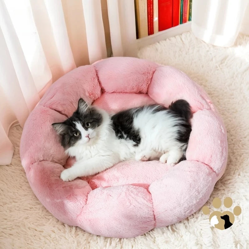 Cat Window Perch Hammock Bed Adjustable Suction Cup Mounted Soft Cushion Sunbathing Shelf Indoor Kittens cats accessories