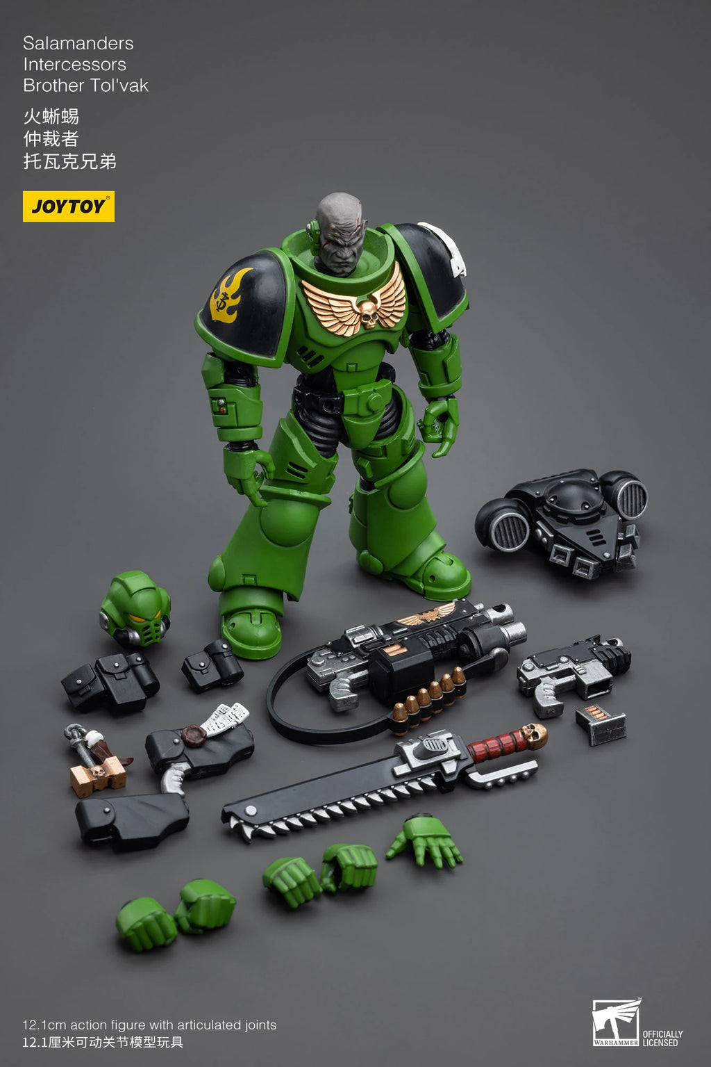 JOYTOY 40K 1/18 Salamanders Intercessors Sergeant Krajax Tsek'gan Brother Haecule Tol'vak Action Figures Model Gift for Collect