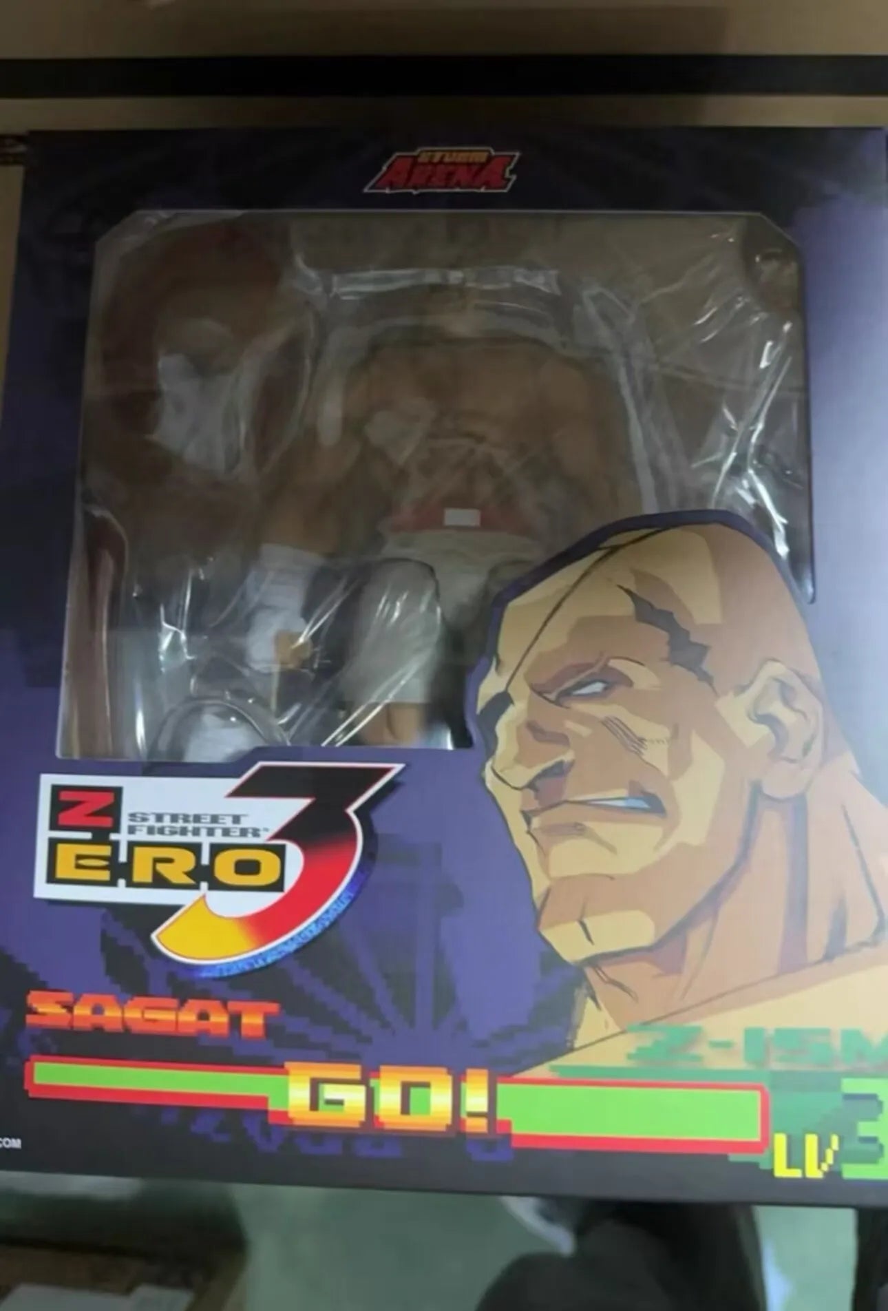 Shipping in February Original Storm Toys ST ARENA3 1/12 ARENA Sagat Anime Collection Figures Model Desktop Decoration Collection