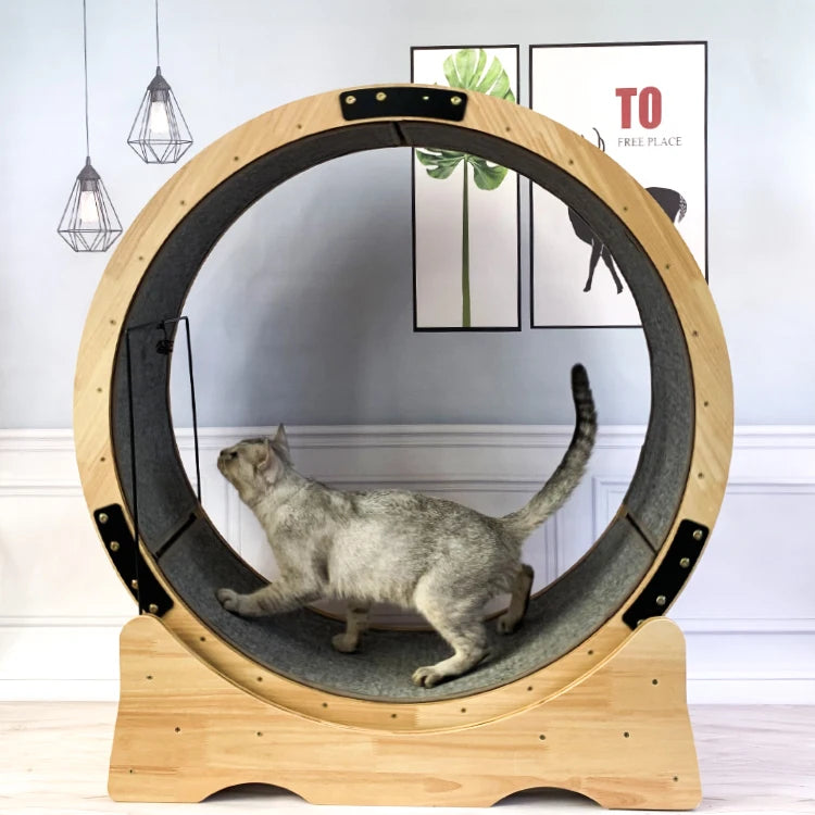 Haustier Katze Fabrik Großhandel Rolling Cat Übung Rad Spaß Katze Lauf Holz