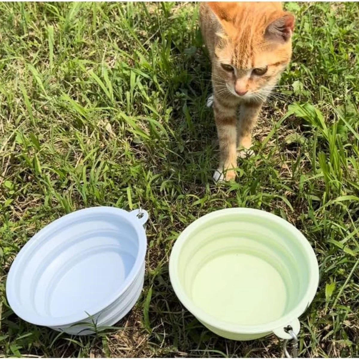 2er-Pack faltbare Silikon-Futter- und Wassernäpfe für Hunde, ideal für Outdoor-Camping und Reisen, mit Karabinerhaken