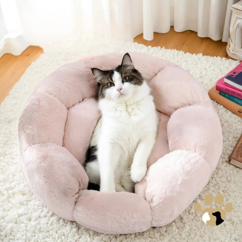 Cat Window Perch Hammock Bed Adjustable Suction Cup Mounted Soft Cushion Sunbathing Shelf Indoor Kittens cats accessories