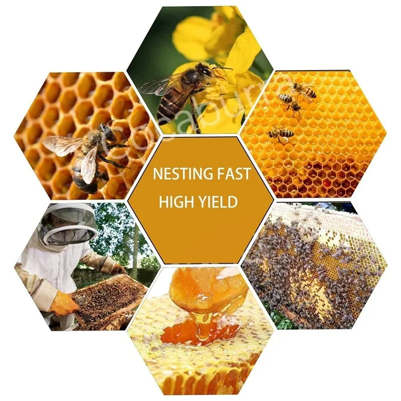 30 Pcs Deep Beeswax Foundation Sheets for Beekeeping Frames - 41.5x19.5 cm Honey Bee Hive Tools