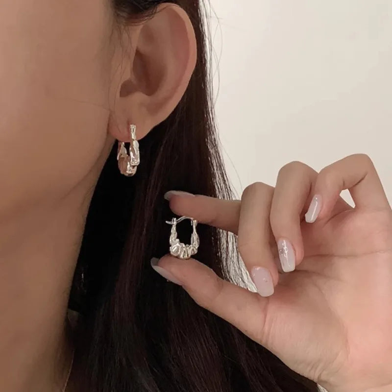 VENTFILLE 925 Sterling Silver Chunky Hoop Earrings for Women Geometric Circle Punk Ear Jewelry Party Gifts 2023 New Dropshipping