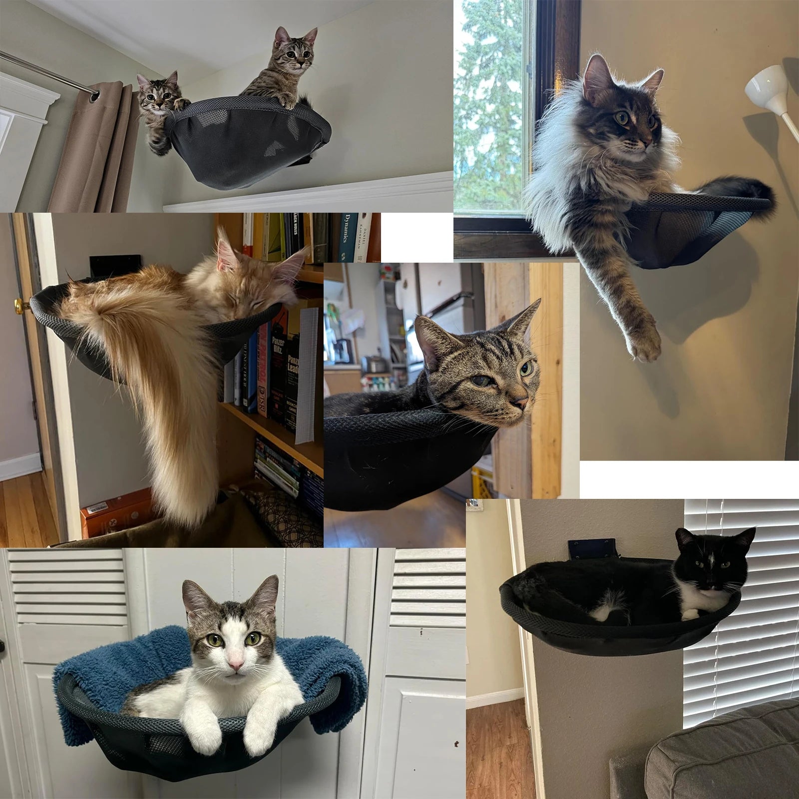 Cat Hammock Bed Wall Mounted Foldable Stable 42cm Cat Beds Breathable Cats Wall Shelf for Sleeping Playing Climbing Accessories