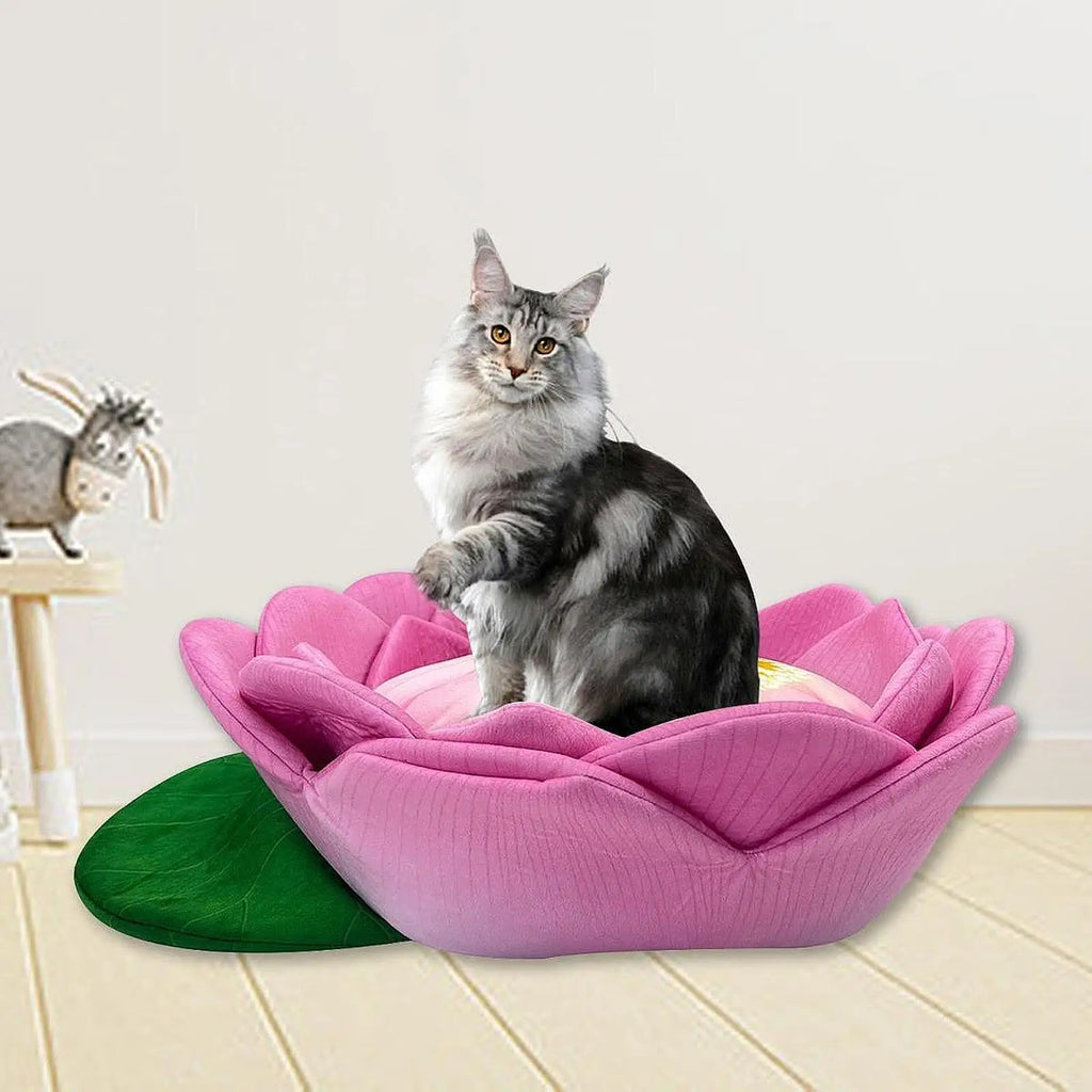 Flower Cat Sofa Bed Lotus Shape Cute Three dimensional Pet Bed for Small Dog