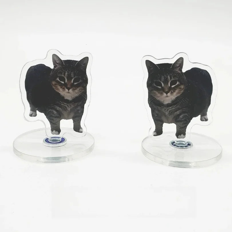 Cute Cat NEW Pattern Acrylic 360° Rotating Kitten Stands for Desk Decoration Home Decor Car Motorcycle Kids Adults Gifts