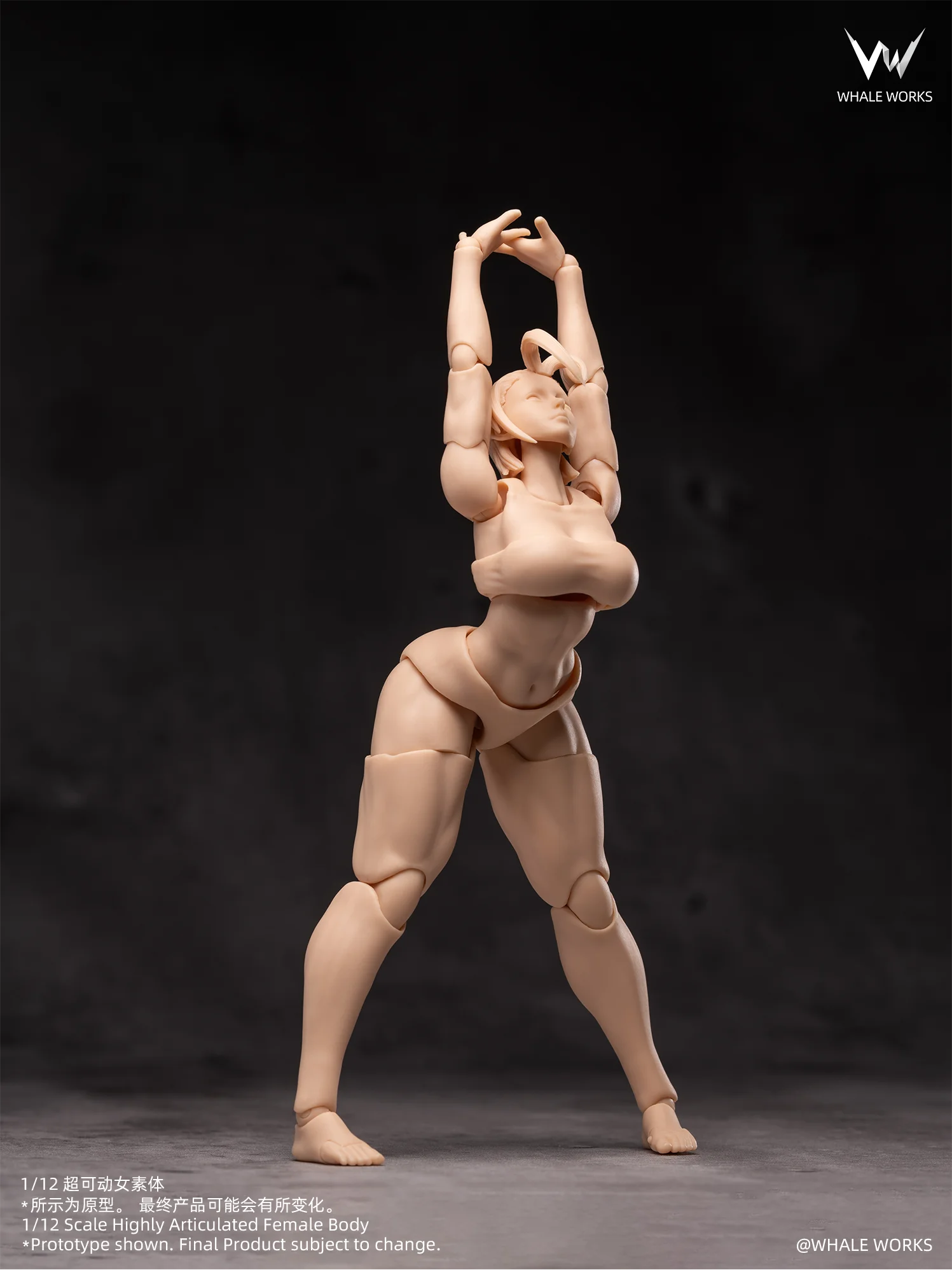 In Stock WHALE WORKS WW01/02 ARIA RIN FEMALE BODY Movable Model Toys 1/12 Super Articulated Cammy White Chun Li