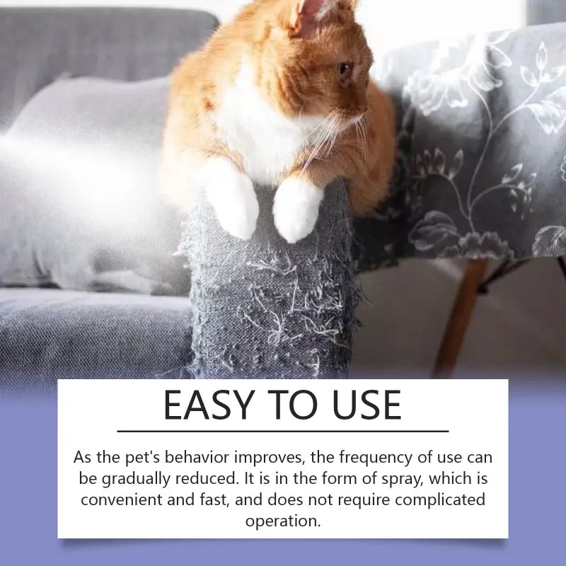Cat Dog Scratch Deterrent Spray Protects Furniture Carpet Drapes Gentle Anti Scratch Training Aid Mild Anti Pet Scratch Spray