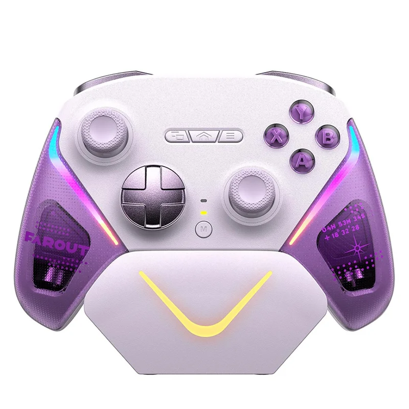 D10 Wireless Gamepad Bluetooth RGB Controller For PC/Switch Phone/Steam TMR Sticks Hall Effect Joystick Micro Triggers B