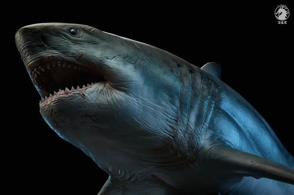 In Stock W-DRAGON Megalodon Model 1/35 45cm Static Statue Carcharocles Megalodon Paleontology Undersea Behemoth