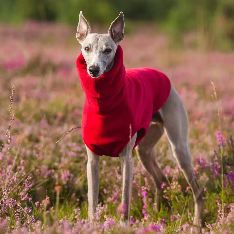 Winter Fleece Whippet Weste Italienische Windhund Kleidung Rollkragen Hund Kleidung Weiche Fleece Kleidung
