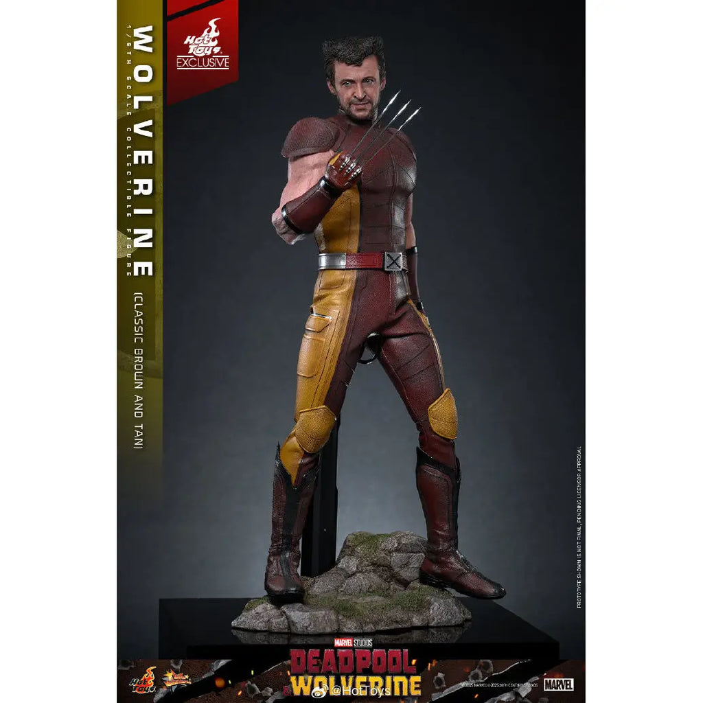 Hottoys 1/6 Scale Deadpool And Wolverine Action Figures Classic Brown Battle Dress MMS754 Wolverine Luxury Edition Collectible