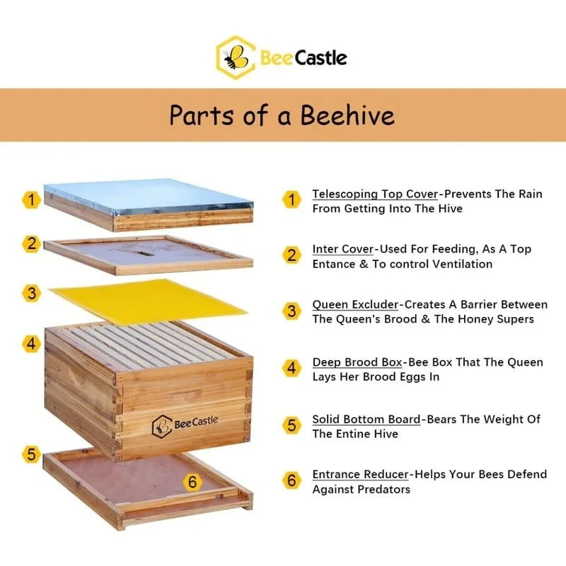 10-Frame Bee Hive Starter Kit with 100% Beeswax Coating - Complete Beekeeping Supplies for Beginners