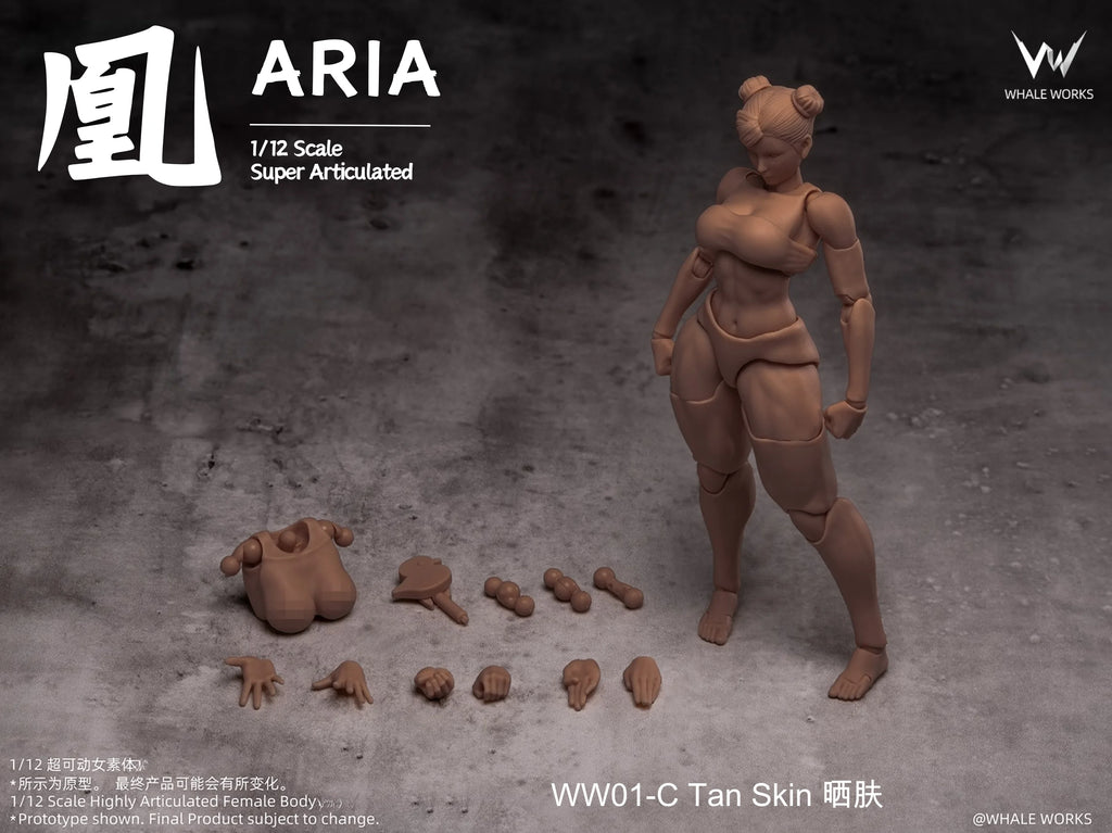 In Stock WHALE WORKS WW01/02 ARIA RIN FEMALE BODY Movable Model Toys 1/12 Super Articulated Cammy White Chun Li