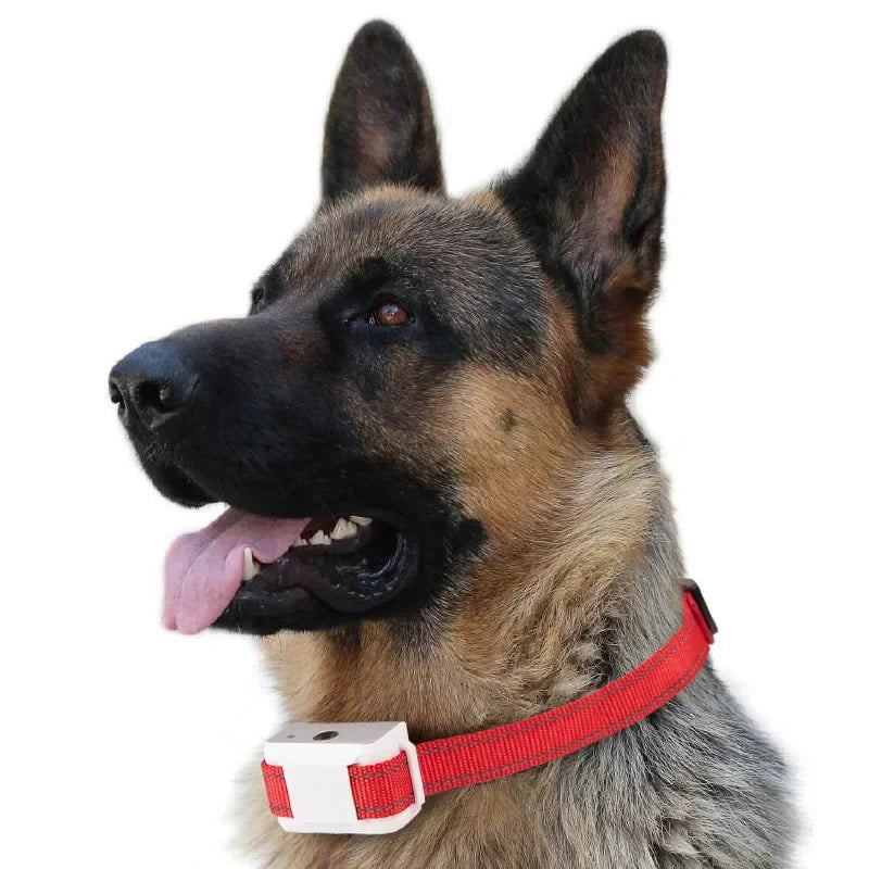 Citronella Bark Collar No Shock Humane Bark Stop Training Anti Bark Collar Pet Dog Spray Training Collar Rechargeable Waterproof