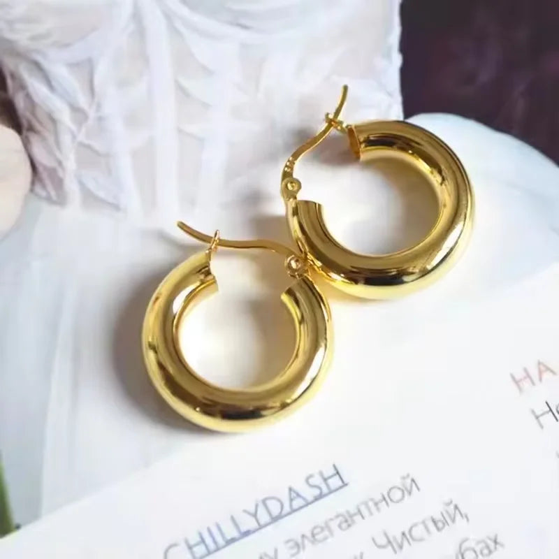VENTFILLE 925 Sterling Silver Chunky Hoop Earrings for Women Geometric Circle Punk Ear Jewelry Party Gifts 2023 New Dropshipping