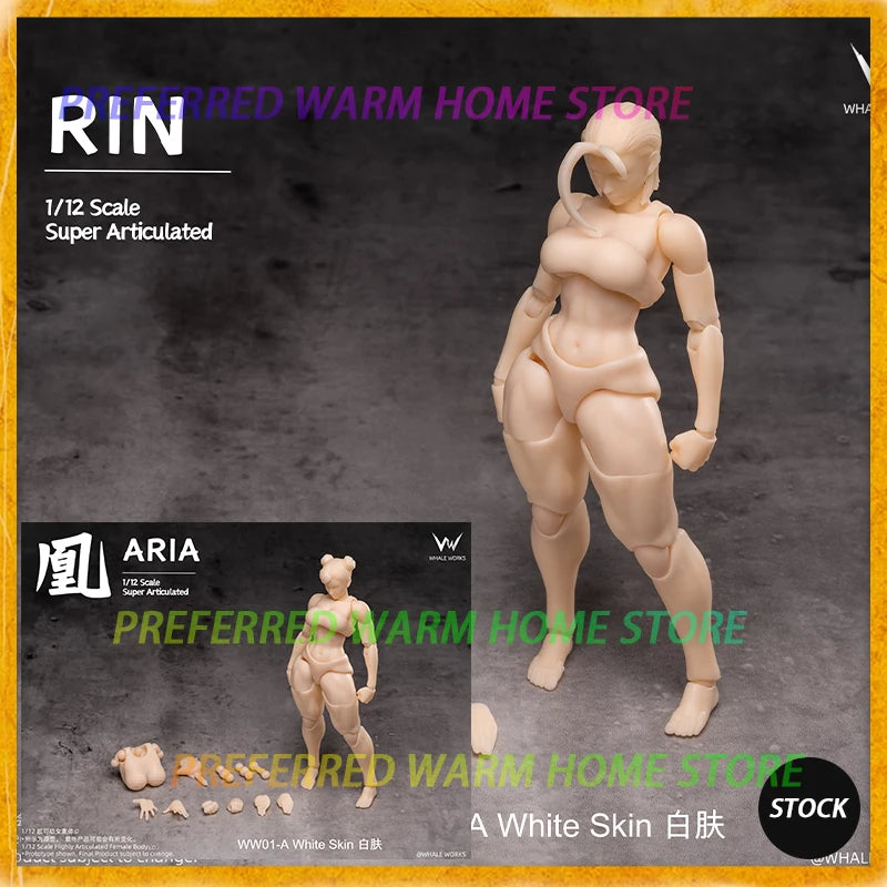 In Stock WHALE WORKS WW01/02 ARIA RIN FEMALE BODY Movable Model Toys 1/12 Super Articulated Cammy White Chun Li