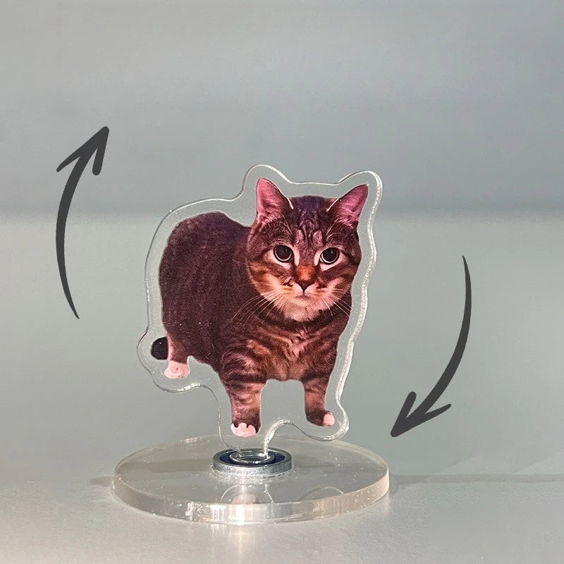 Cute Cat NEW Pattern Acrylic 360° Rotating Kitten Stands for Desk Decoration Home Decor Car Motorcycle Kids Adults Gifts