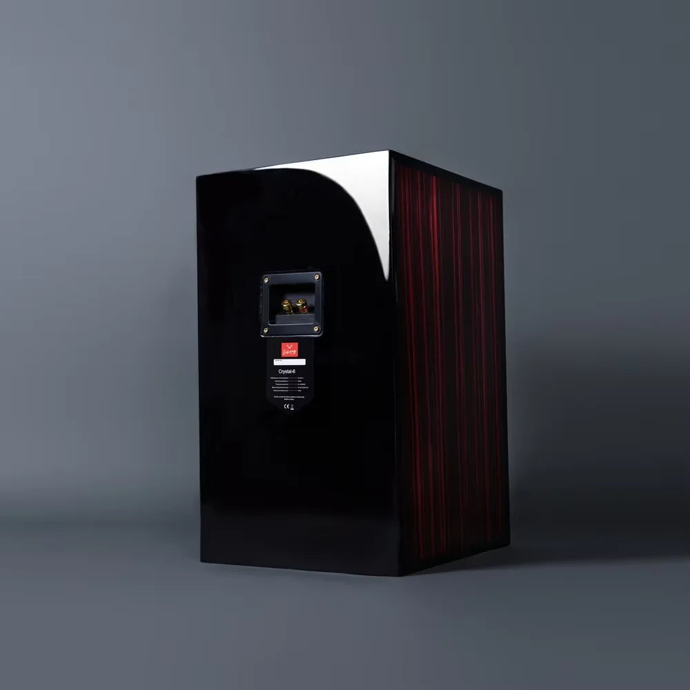 Z-1233 Liisong C-6 Flagship All-Aroun Unit Desktop HiFi Audio Piano Paint Process Speaker (1Pair)
