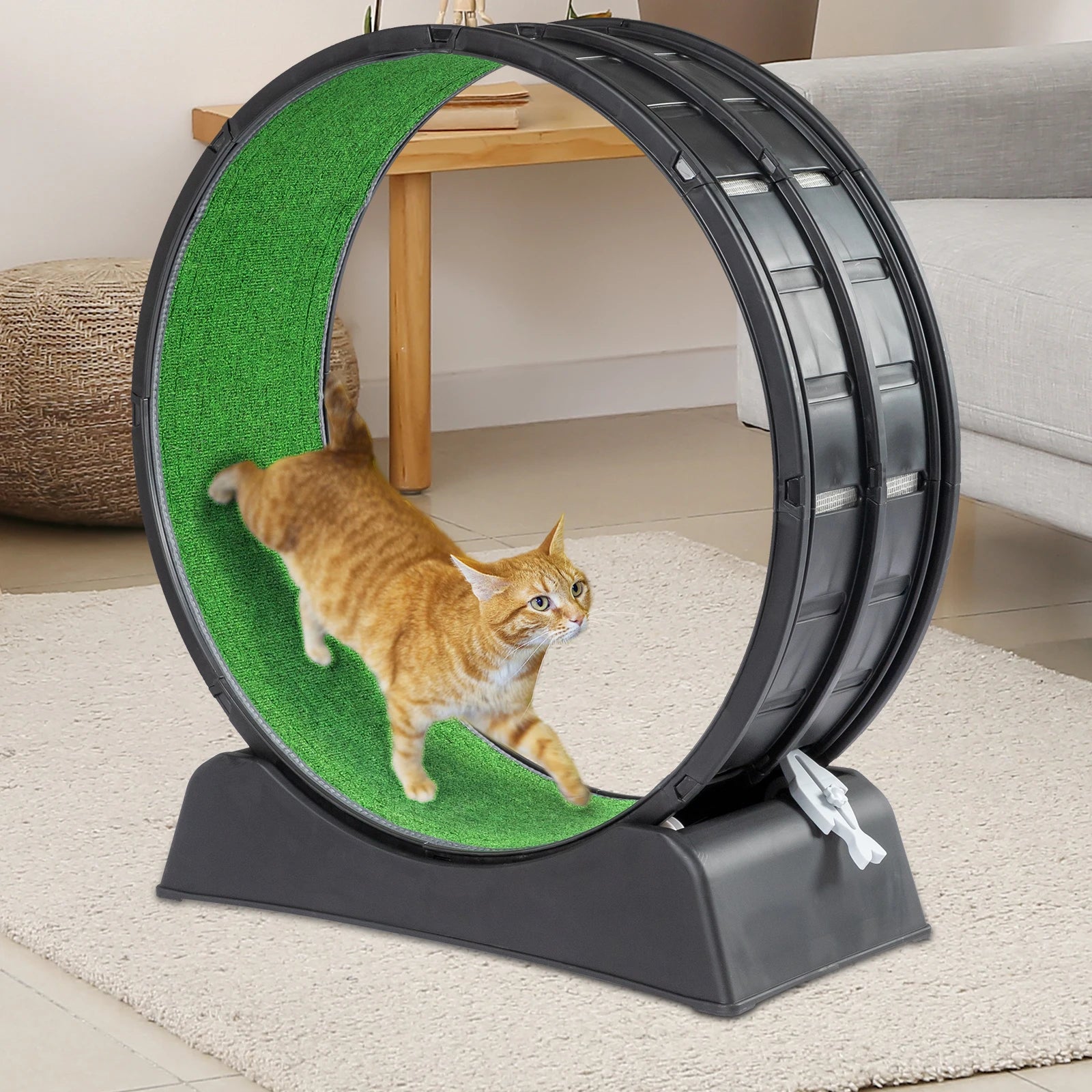 39-inch Indoor Cat Exercise Wheel Treadmill Cat Wheel Exerciser With Carpeted Runway