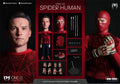 RemadCustom 1/12 Tobey Maguire Spider Print Cloth Wrestler Action Figure Combat Mask Head Replacement 6" Male Soldier Toys