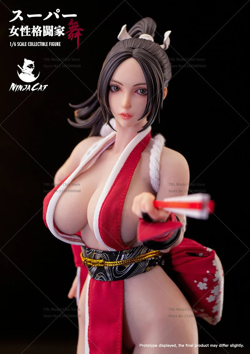 Ninja Cat N001 1/6 Scale Mai Shiranui Kämpferin 30 cm (12 Zoll) bewegliche Augen Stahlrahmen Silikonkörper Komplettset Actionfigur Puppe