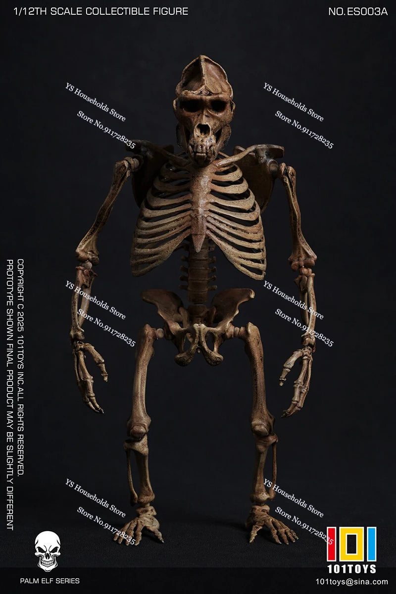 101TOYS PALM ELF SERIES ES003 1/12 CHIMPANZEE SKELETON FRAME BOBY Model Scene Accessory 6inch Skull Action Figure Home Ornament