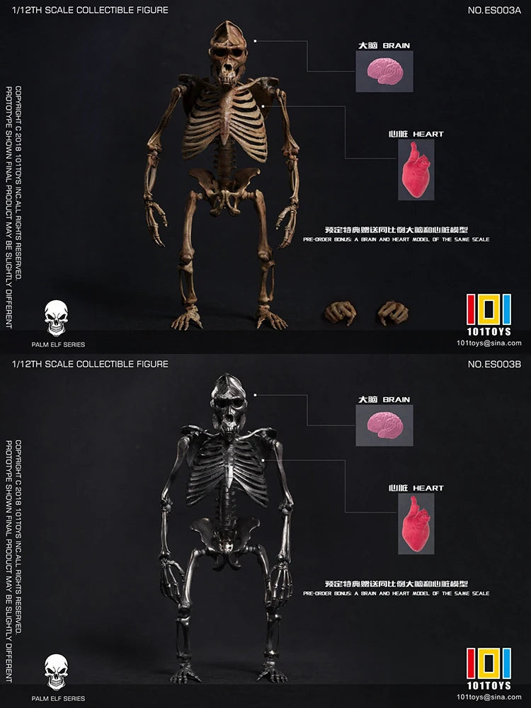 101TOYS PALM ELF SERIES ES003 1/12 CHIMPANZEE SKELETON FRAME BOBY Model Scene Accessory 6inch Skull Action Figure Home Ornament