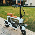 Bester großer Kinderwagen auf Rädern, Trolley, rollende Haustiertasche, Hunde- und Katzentragetasche mit Rädern, Haustier-Scooter, Citycoco Elektroroller