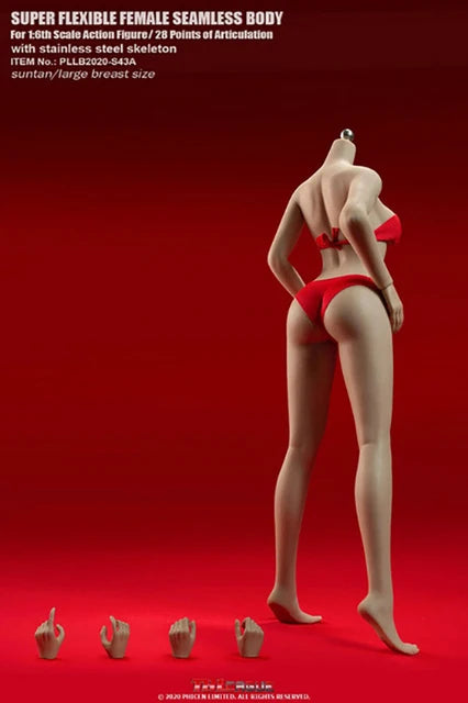 Tbleague Phicen 1/6 Weibliche Puppe mit superflexiblem Körper, ohne Kopf, sonnengebräunte/blasse Haut, kleine/mittlere/große Brust, 12 Zoll weibliche Actionfiguren