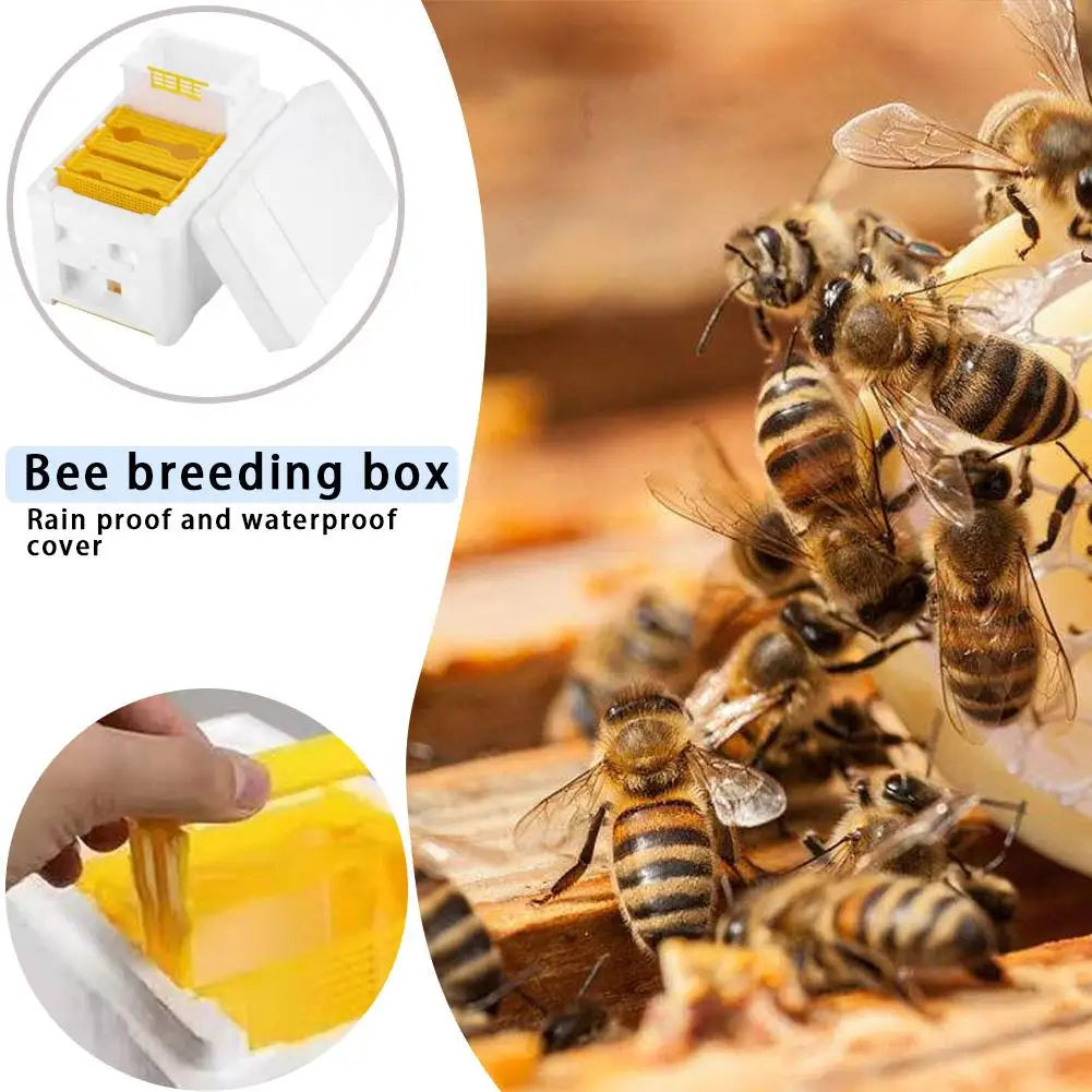 Beehive Pollination King Bees Hive Box Beekeeping Tools For Beekeeper Supplies