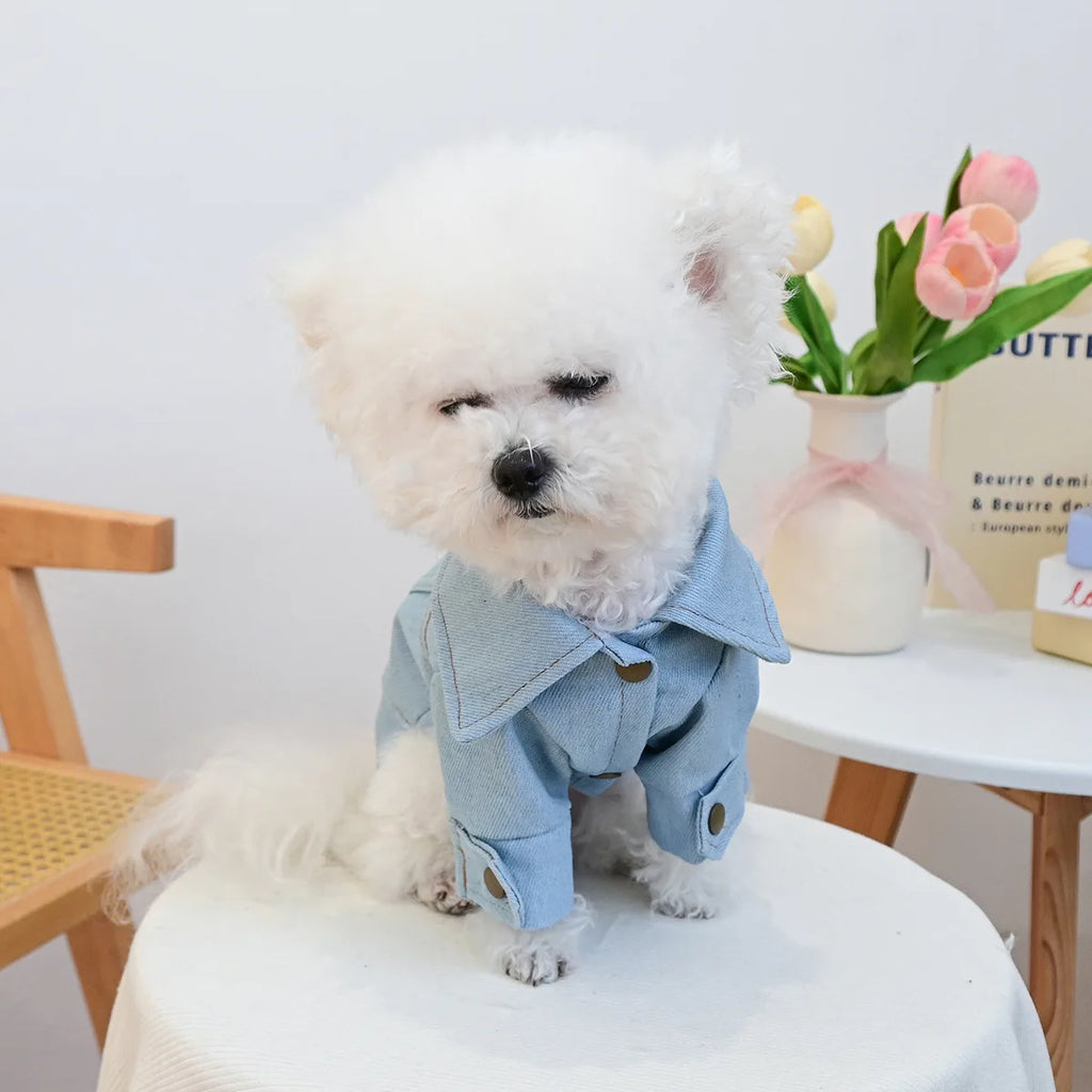 Jeansjacke für Hunde, Kronprinzessin, Geburtstagskostüm, Haustierbekleidung, langärmliger Jeansmantel mit D-Ring, Kleidung für kleine und mittelgroße Hunde