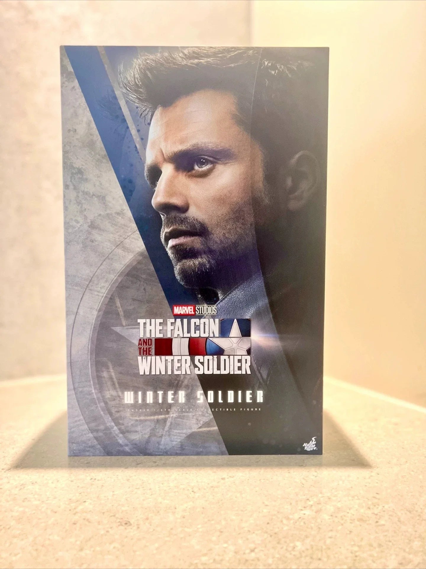 【MT】Hot Toys TMS039 Marvel "The Falcon and The Winter Soldier" Bucky The Winter Soldier 1:6 Scale Collectible Doll Movable Model