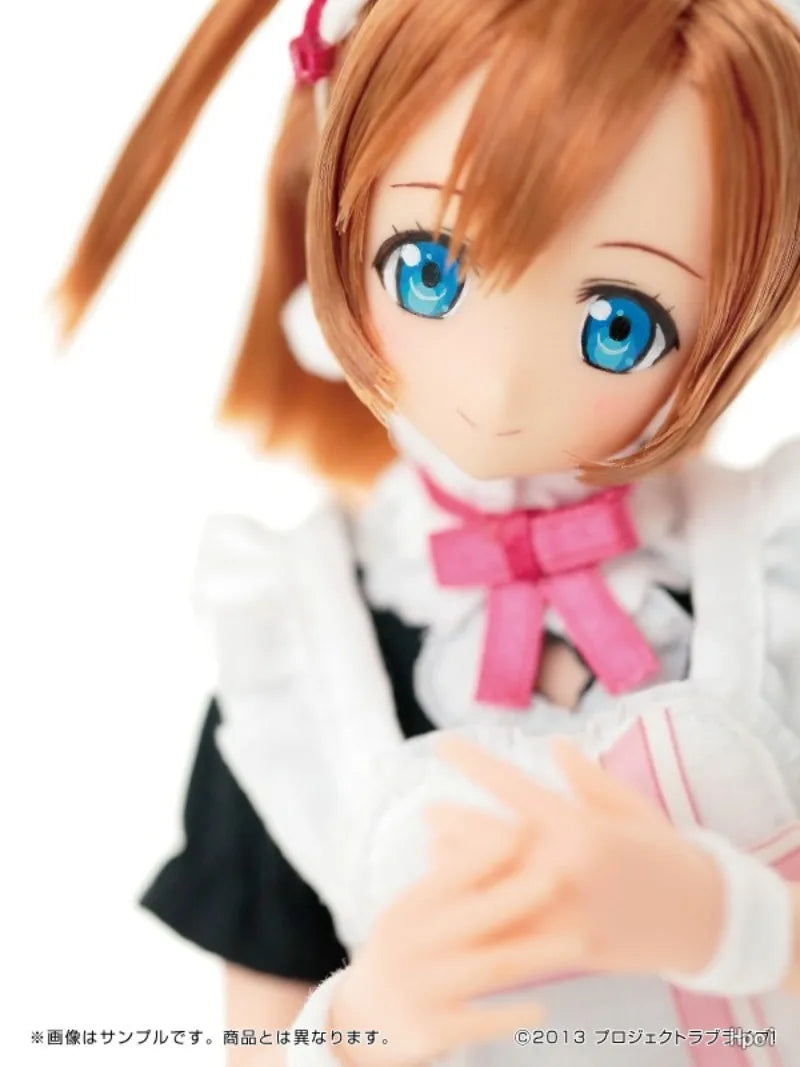 Azone Genuine PureNeemo Character Series LoveLive! Honoka Kōsaka‌ Umi Sonoda Maki 1/6 Doll Collectible Action Figures Model Toys
