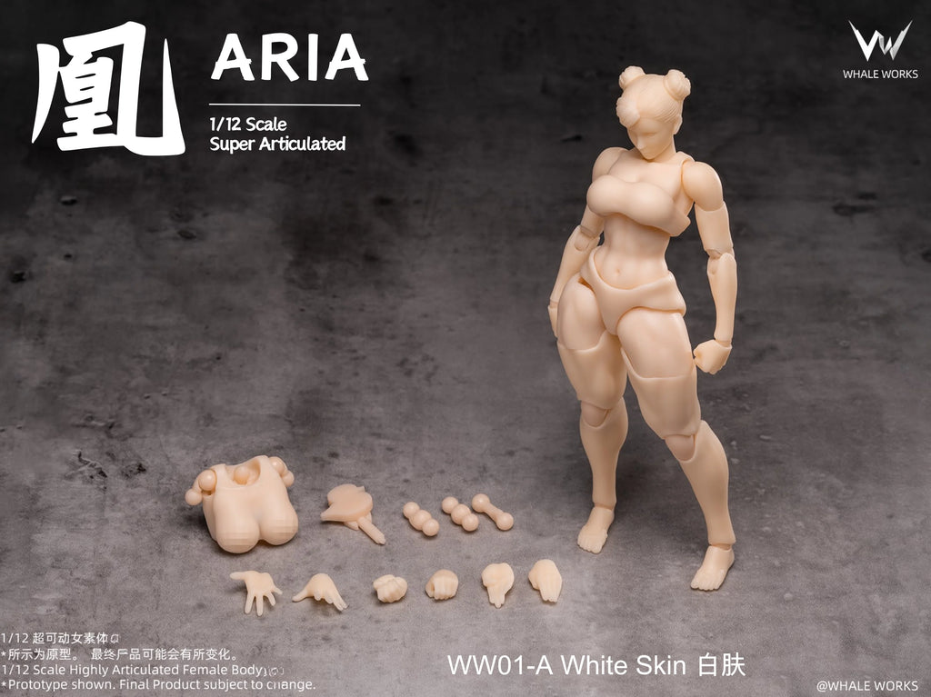 In Stock WHALE WORKS WW01/02 ARIA RIN FEMALE BODY Movable Model Toys 1/12 Super Articulated Cammy White Chun Li