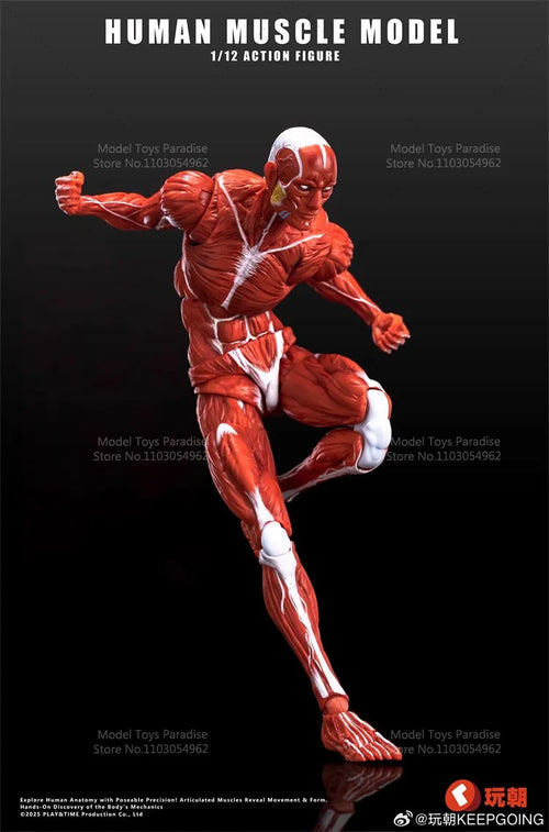 1/12 Collectible Toys Super Movable Human Muscle Painting Skeleton Soldier 6Inches Action Figure Model Gifts
