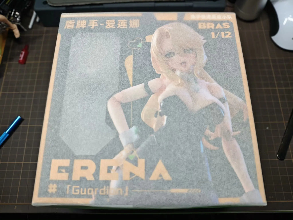 In Stock New 1/12 Scale Rabbit Rapid Response Team Shield Operator Ailiana Articulated Figure Collection Decoration Model Toy