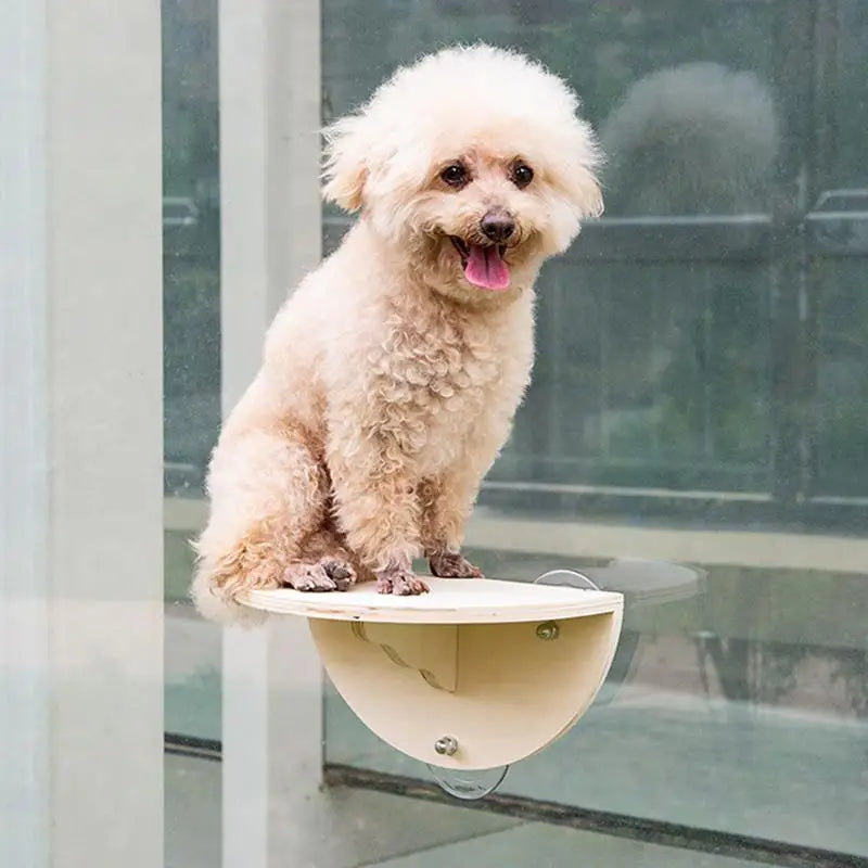 Cat Perch Hammock With 3 Suction Cups Space Saving Window Sill Kitten Climbing Shelf And Perches Bed Furniture Pet Jumping