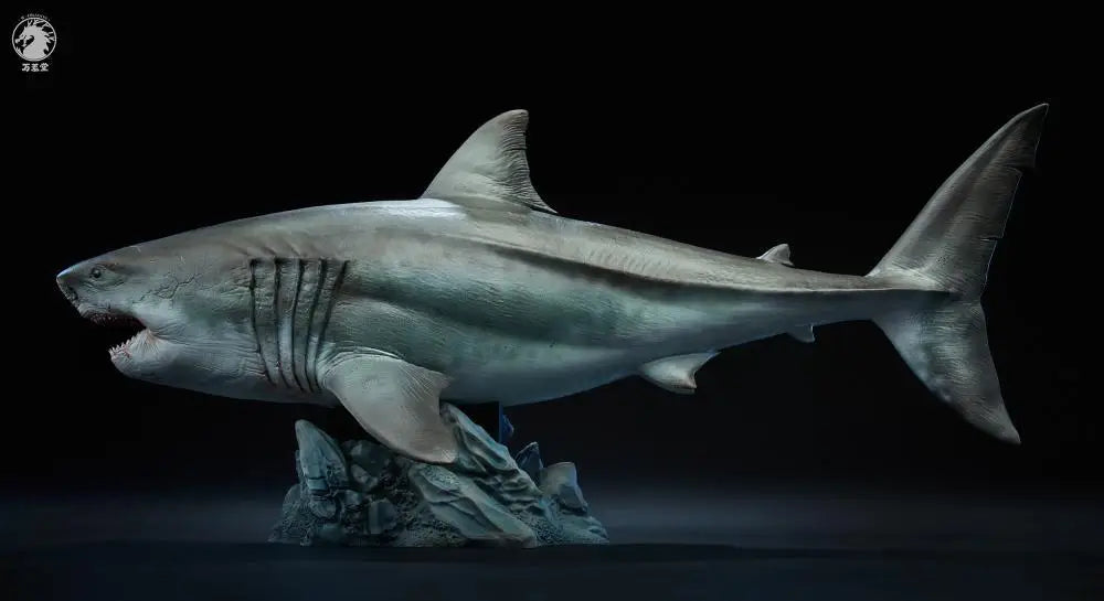 In Stock W-DRAGON Megalodon Model 1/35 45cm Static Statue Carcharocles Megalodon Paleontology Undersea Behemoth