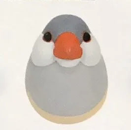 Chubby Glowing Bird Series Gashapon Toys Acacia Parrot White Java Sparrow Love Bird Q Verison Action Figure Model Ornament Toys