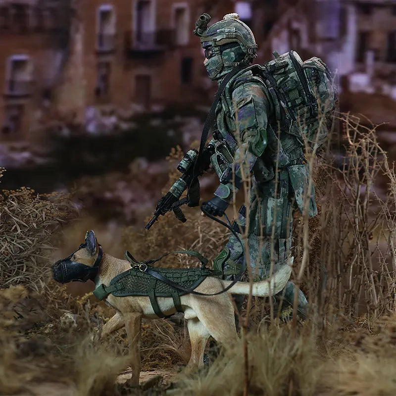 New 1 /6 Scale Action Figure  Paratrooper Special Forces with Military Dog Collectible Model Display Decoration Collector's Item