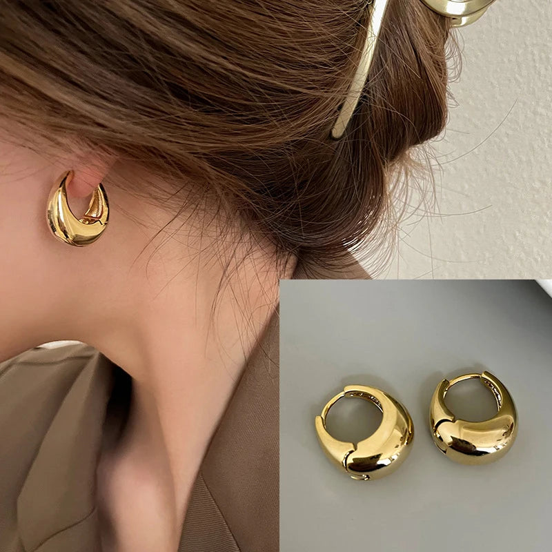 VENTFILLE 925 Sterling Silver Chunky Hoop Earrings for Women Geometric Circle Punk Ear Jewelry Party Gifts 2023 New Dropshipping