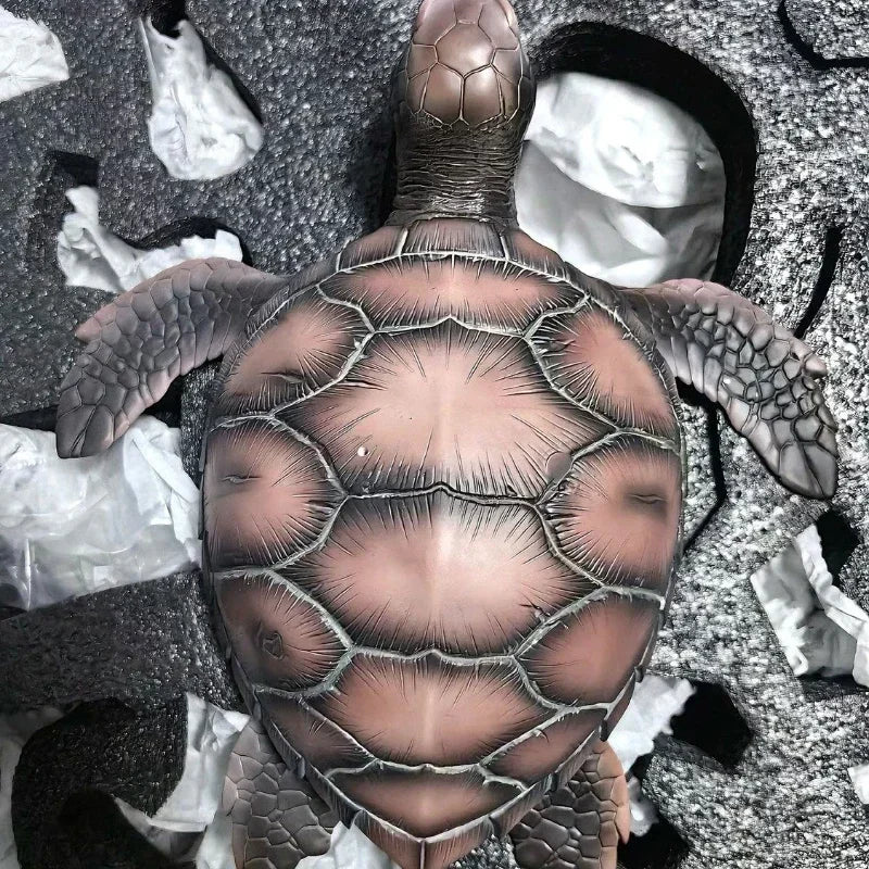 Anime Dragon Ball Figurine Turtle Master Roshi Action Figures PVC Kame Sennin 22cm Model Desktop Decoration Birthday Doll Gifts