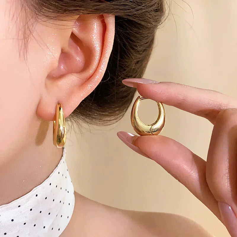 VENTFILLE 925 Sterling Silver Chunky Hoop Earrings for Women Geometric Circle Punk Ear Jewelry Party Gifts 2023 New Dropshipping