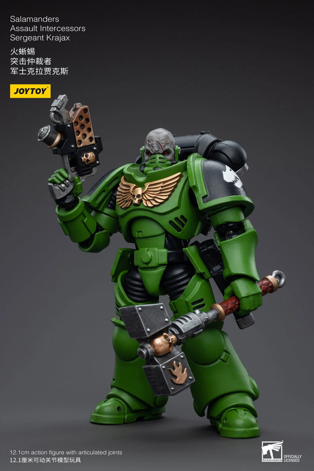 JOYTOY 40K 1/18 Salamanders Intercessors Sergeant Krajax Tsek'gan Brother Haecule Tol'vak Action Figures Model Gift for Collect