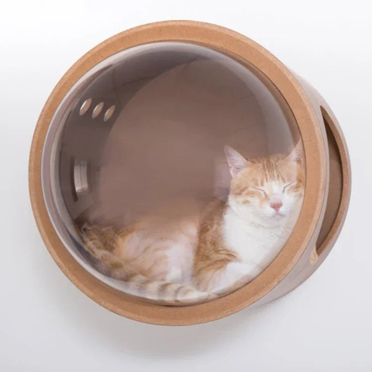 Cat play wall mounted furniture bed wood house hammock with acrylic cover