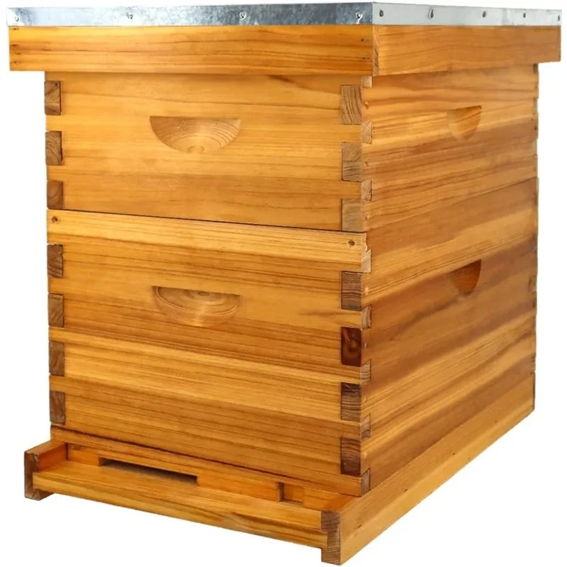 Complete 8 Frame Beehive Kit with Beeswax Coating, Includes Frames and Foundation Sheets for All Beekeeping Levels